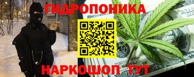 эйфоретик Славгород